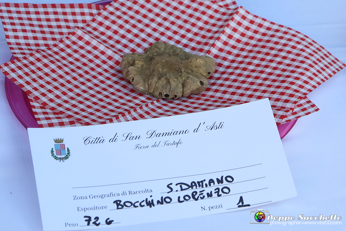 VBS_5540 - 10.ma Fiera Nazionale del Tartufo e Fiera dei Santi.jpg